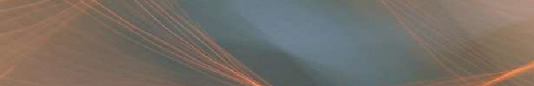 wp91a1c998_0f.jpg