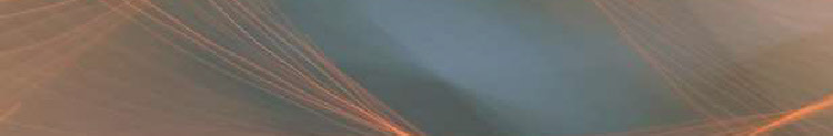 wpd4449241_0f.jpg